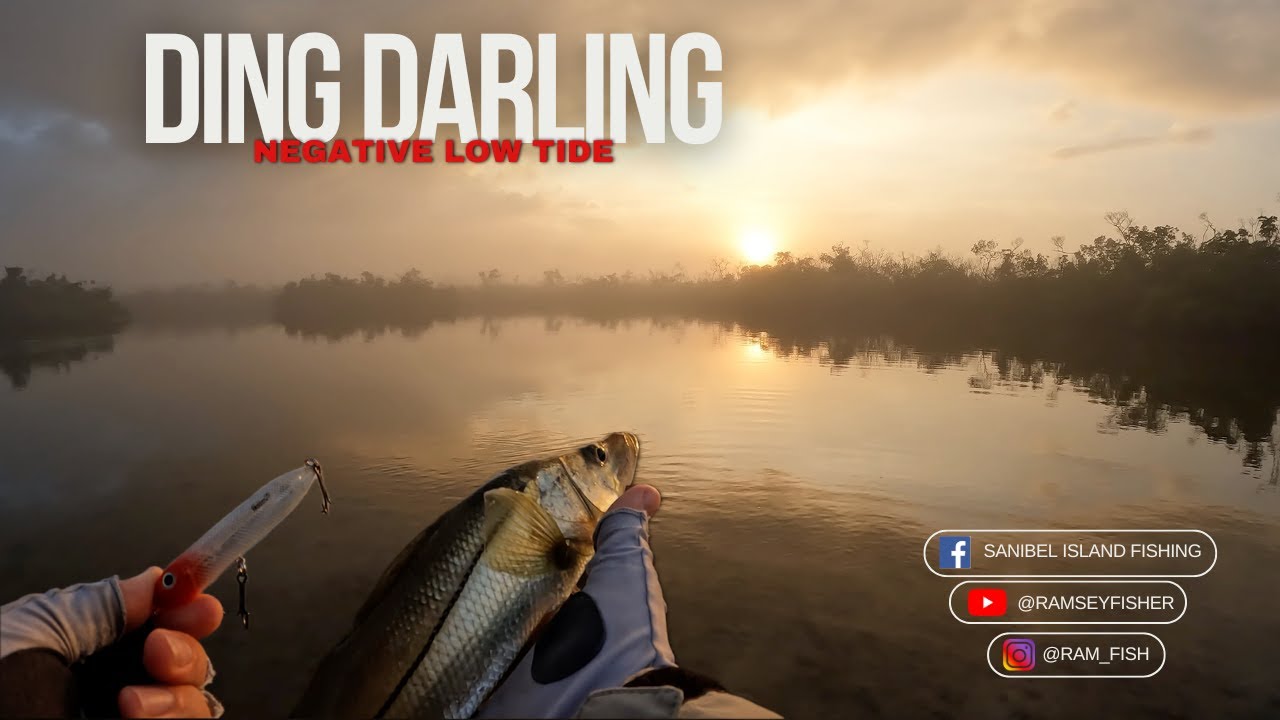 Fishing a NEGATIVE Low Tide in Ding Darling, Sanibel Island | Foggy Morning Topwater Snook Action!!!