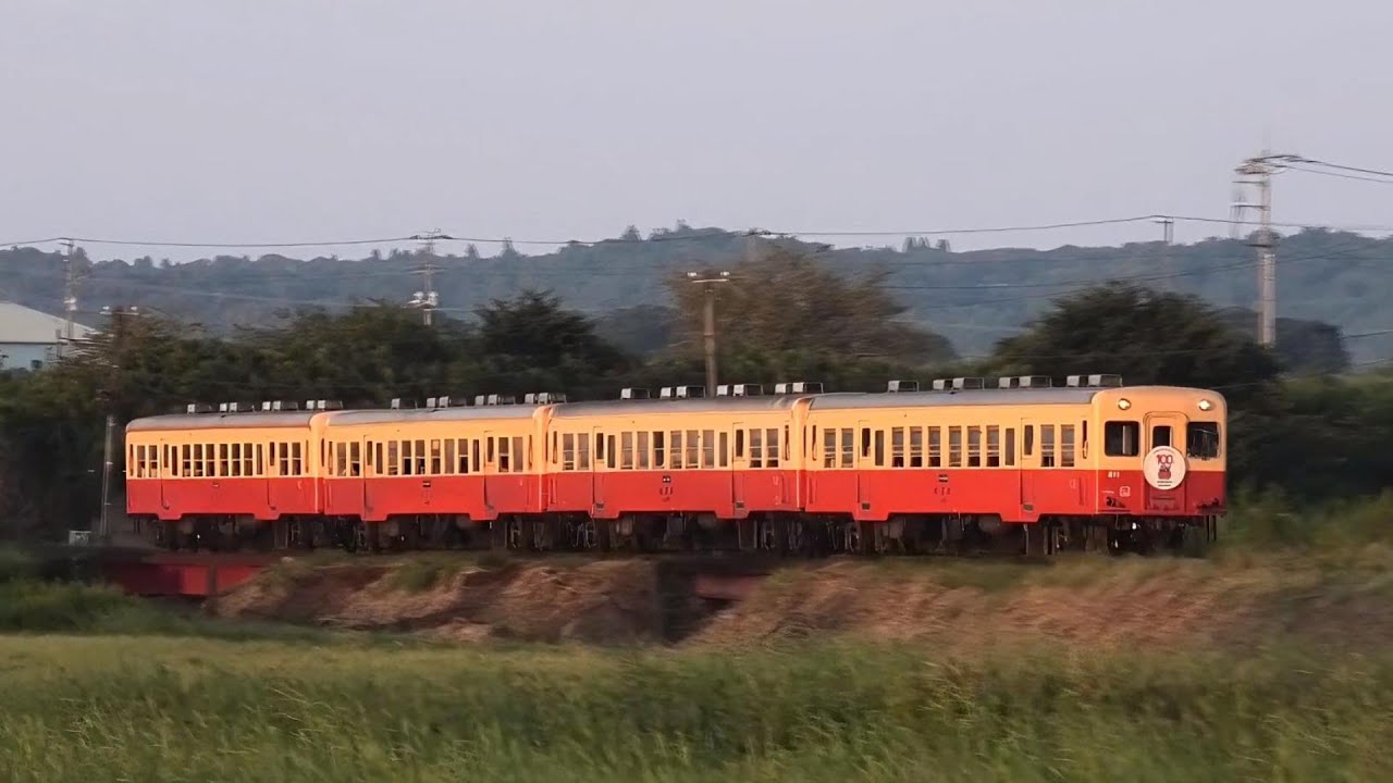 【開業100周年の夏・フィナーレ】 小湊鐵道線 キハ200 キハ40 観光急行さくら号 他