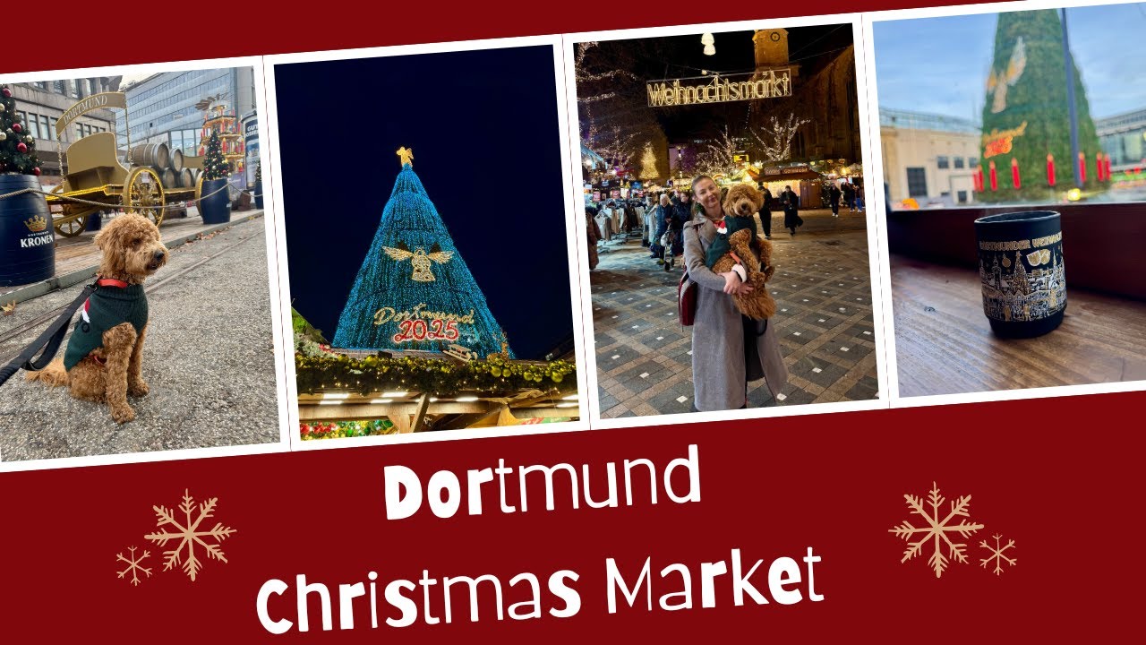 Dortmund Christmas Market 🎄✨ mulled wine, meh crêpe & Sawyer’s 1st birthday celebration 🎉🐾