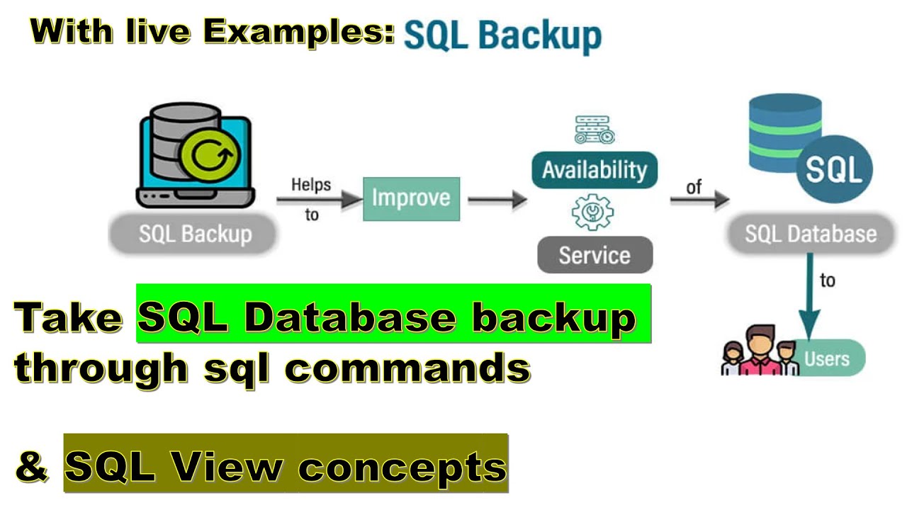 Learn SQL Database backup via commands | SQL View: Sytax and example | SQL Server basic queries
