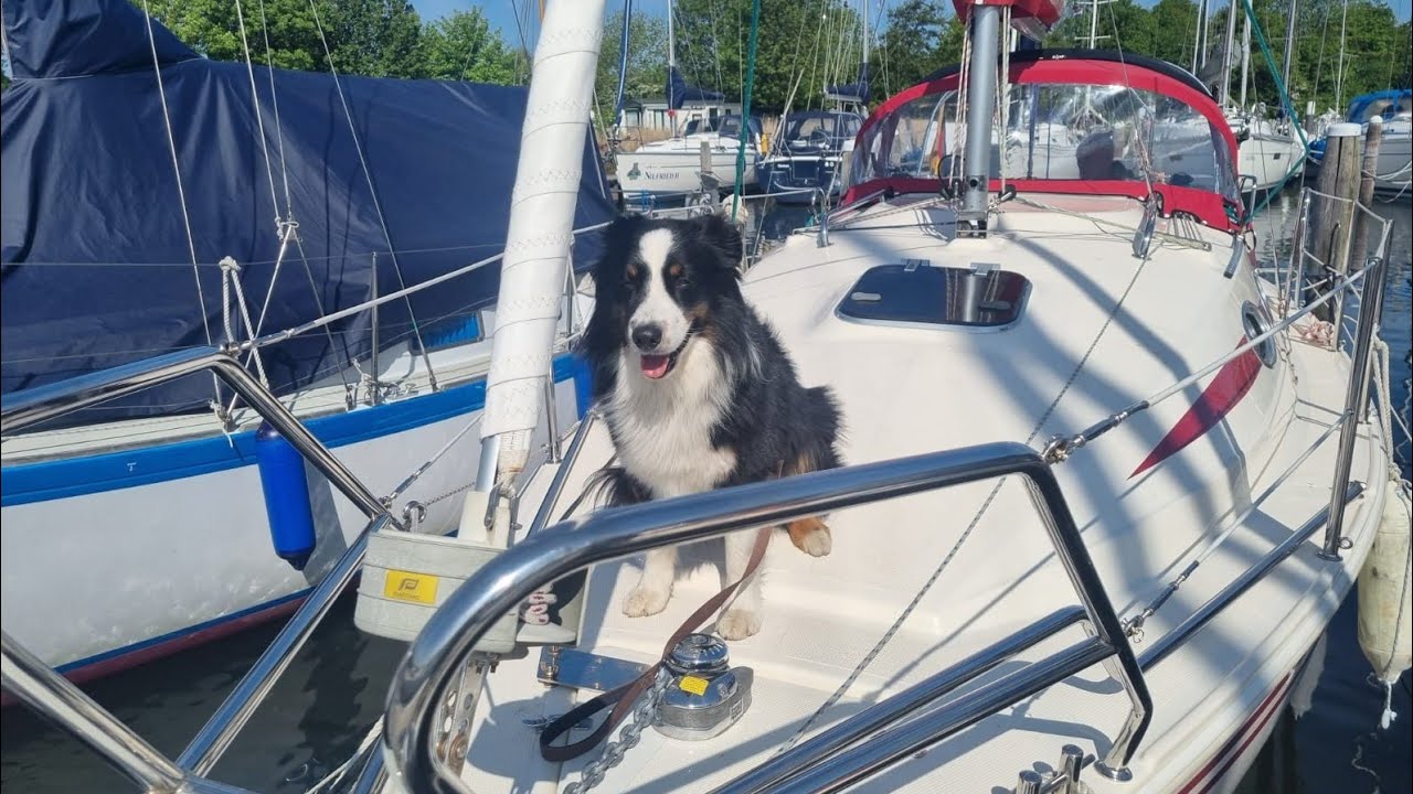 Odin 820 ijsselmeer Workum