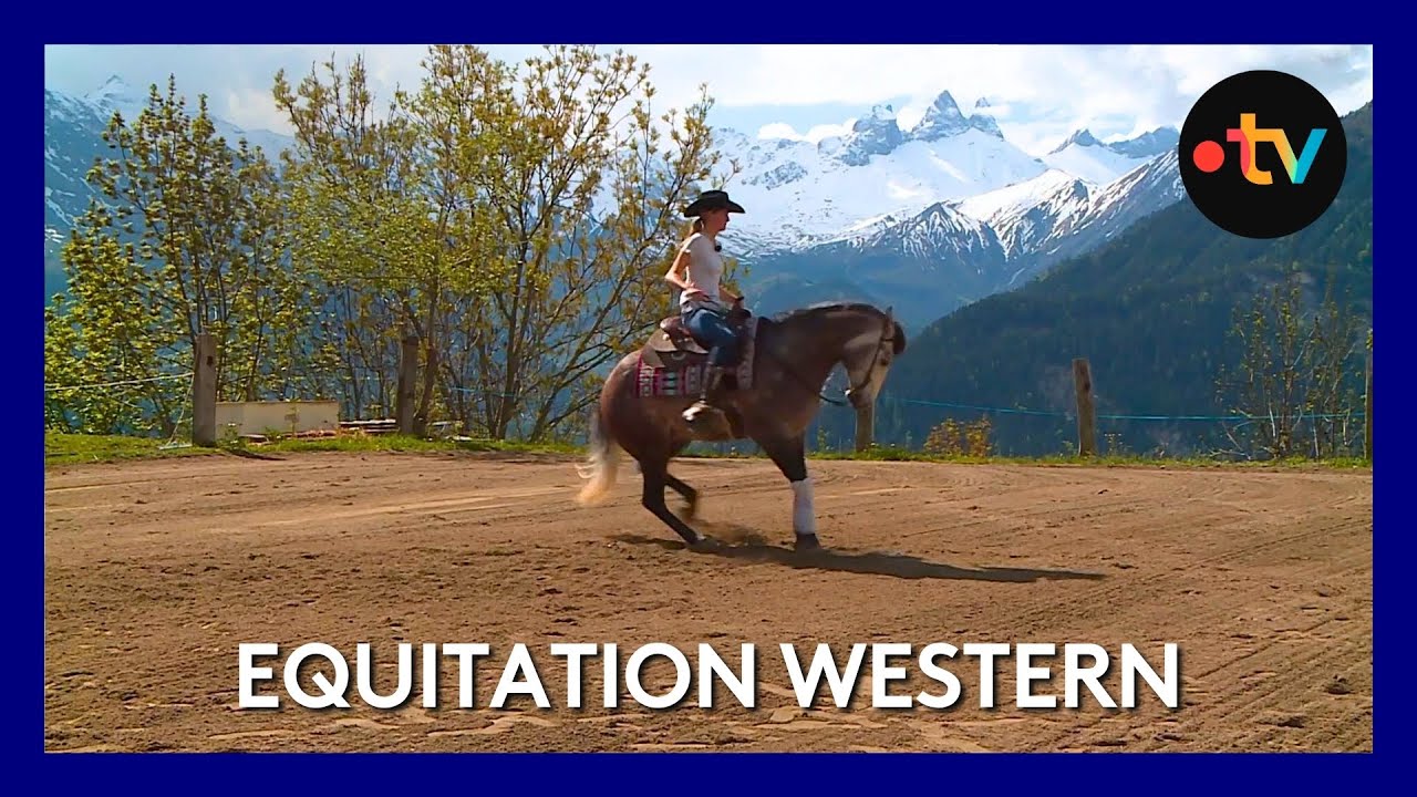 Connaissez-vous l’équitation western et plus précisément le reining ?