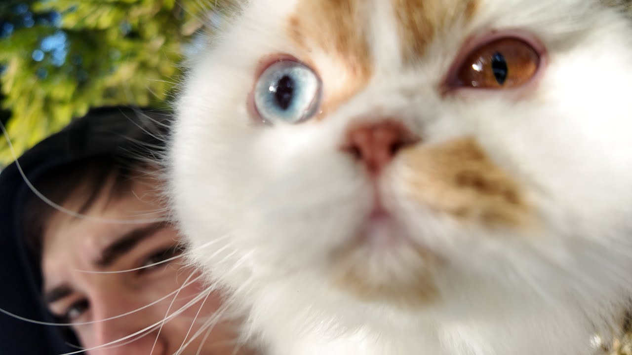 Maya Swiss Life - Teaser Video