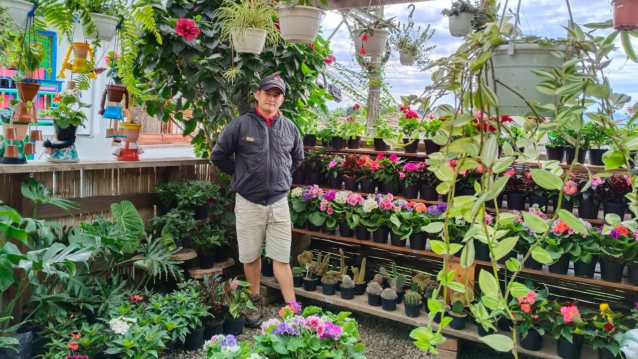 Un hermoso vivero con variedad de plantas.