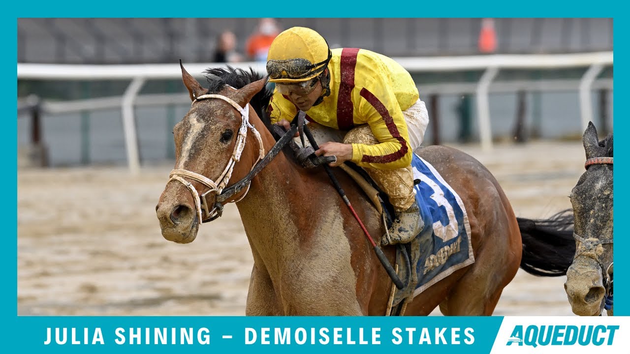 Julia Shining - 2022 - The Demoiselle