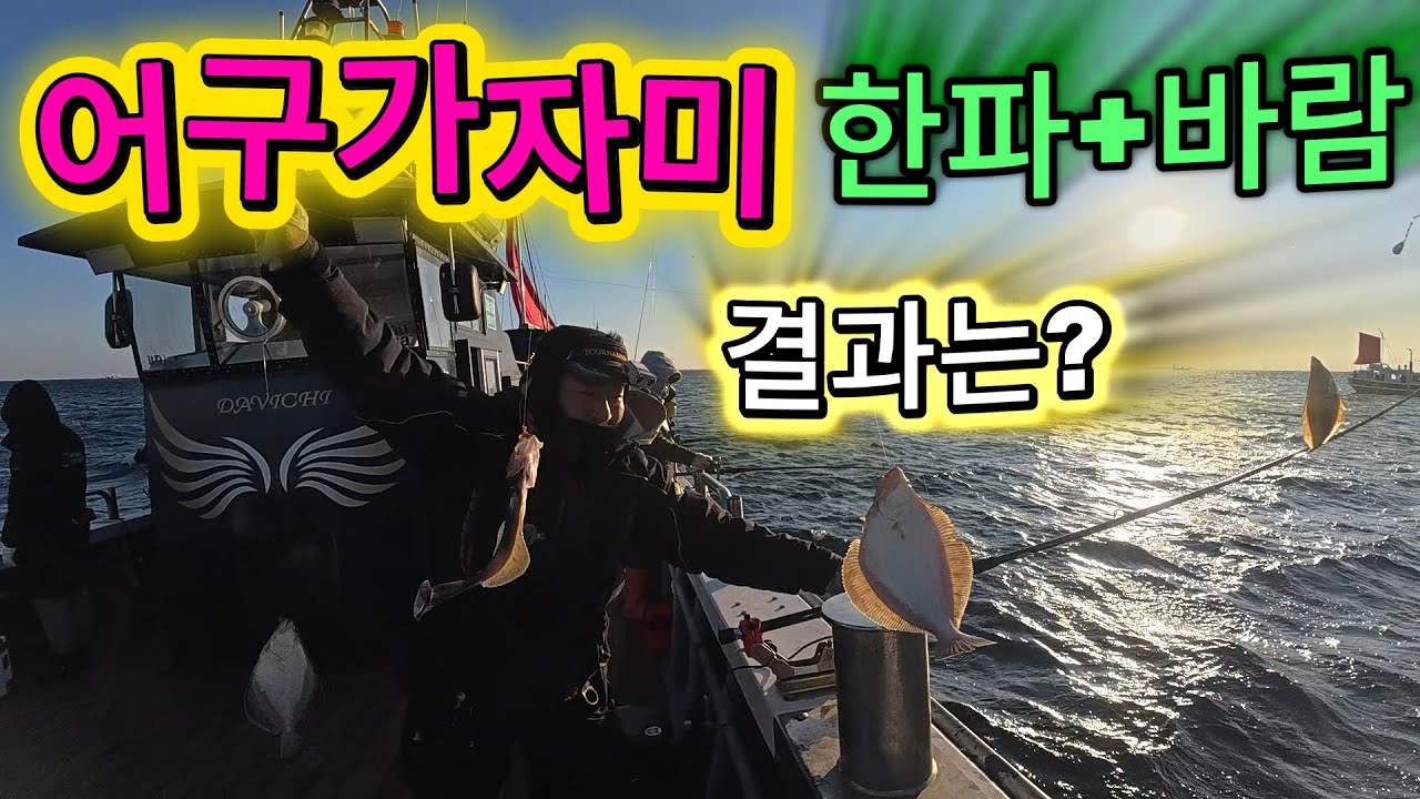 어구가자미(한파 +바람+ 저활성) 결과는?