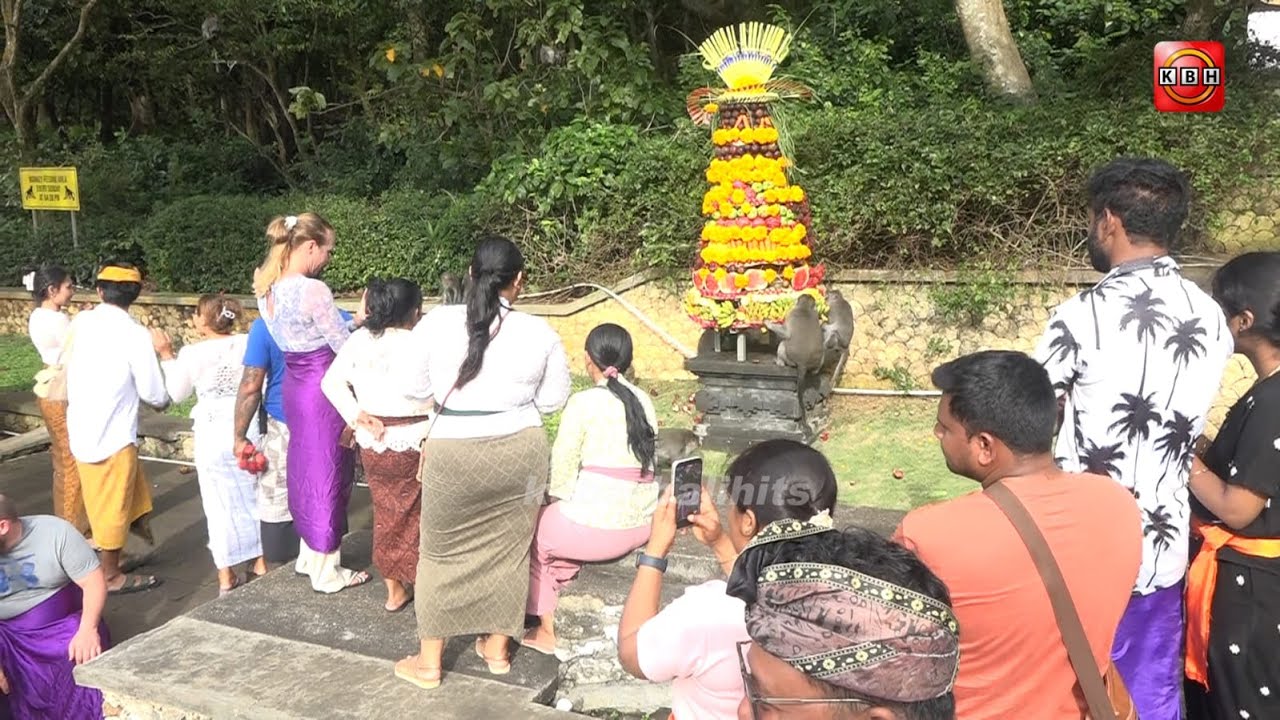 PERAYAAN TUMPEK KANDANG DI DTW ULUWATU 