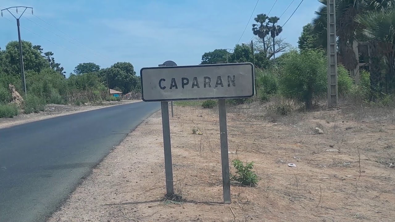 BIGNONA: BUKUT CAPARAN 
