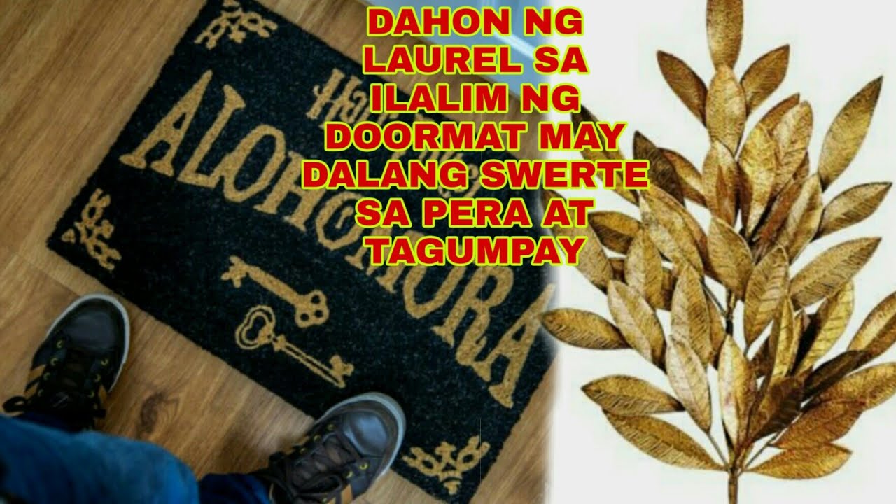 DAHON NG LAUREL SA ILALIM NG DOORMAT NAGDADALA NG SWERTE SA PERA AT TAGUMPAY - Apple Paguio7
