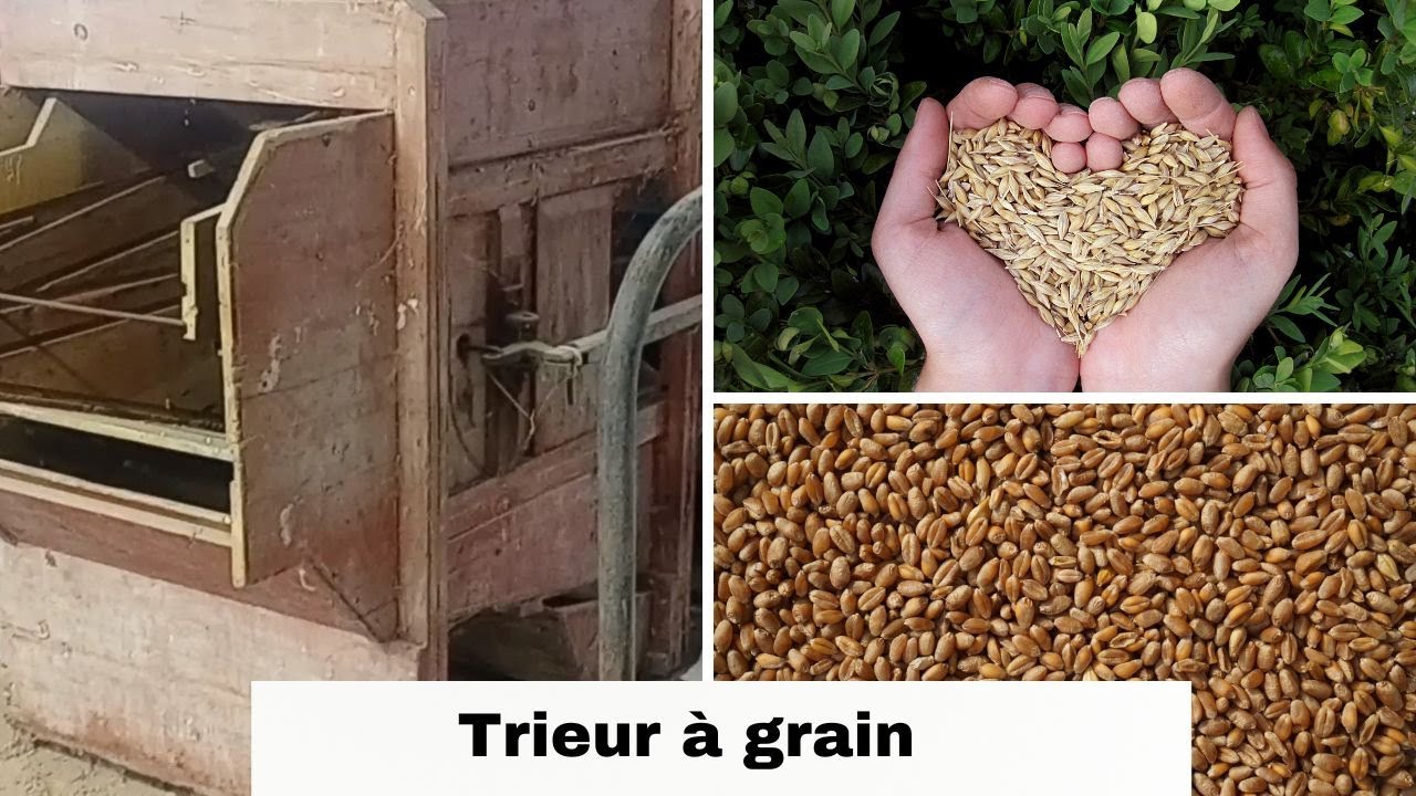 Trieur à grain - tarare à grain