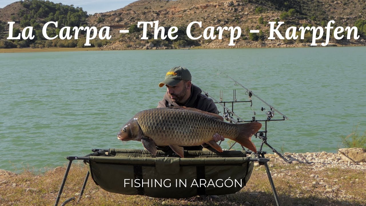 La Carpa - The Carp - Karpfen - Fishing in Arag&oacute;n
