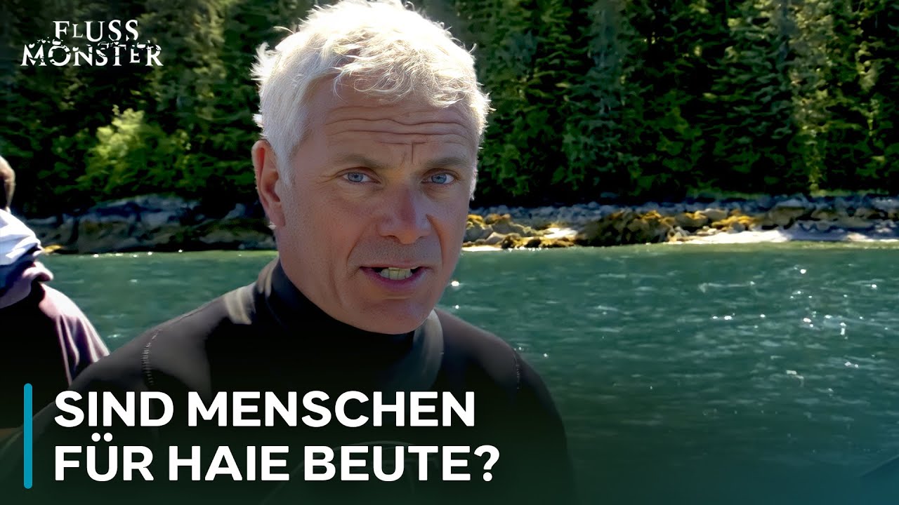 Die WAHRHEIT über Hai-Angriffe | Fluss Monster