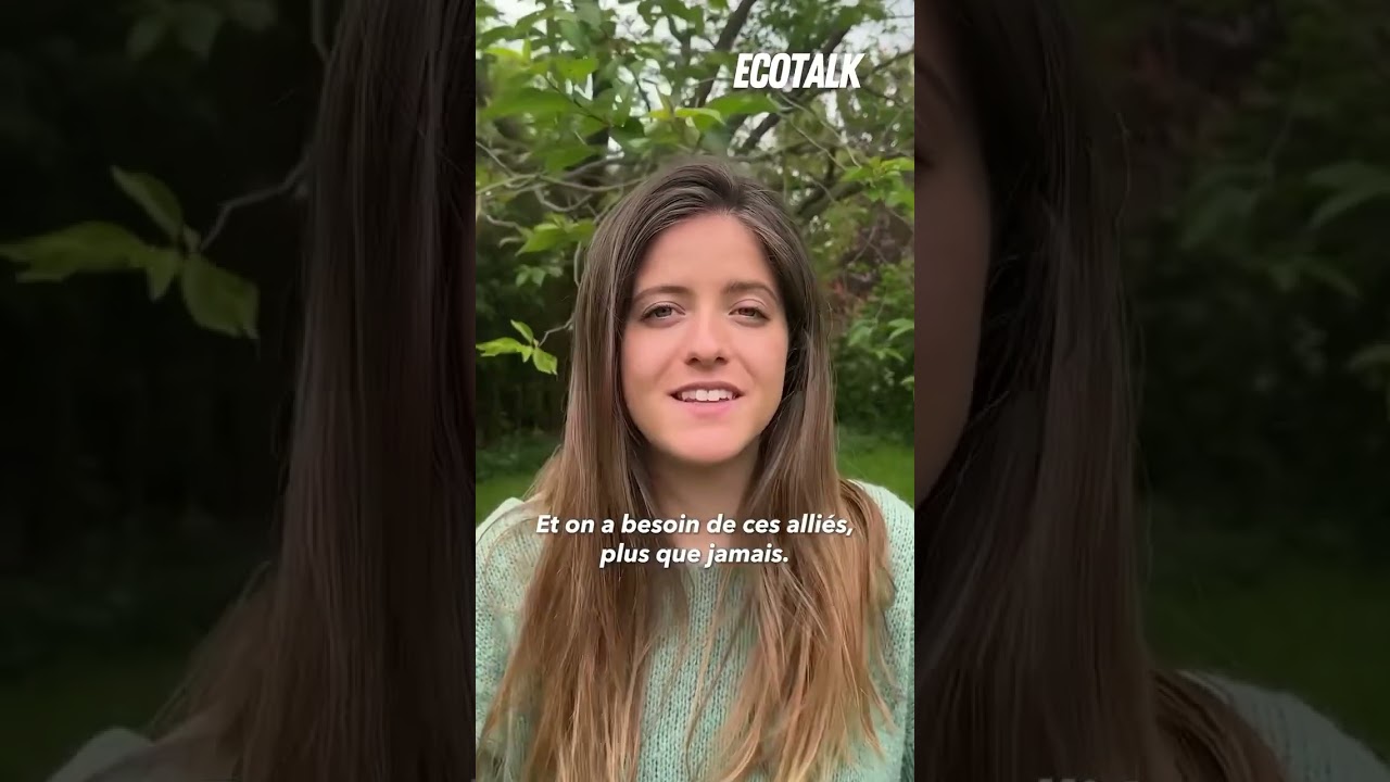 Apprendre l&rsquo;&eacute;cologie politique !