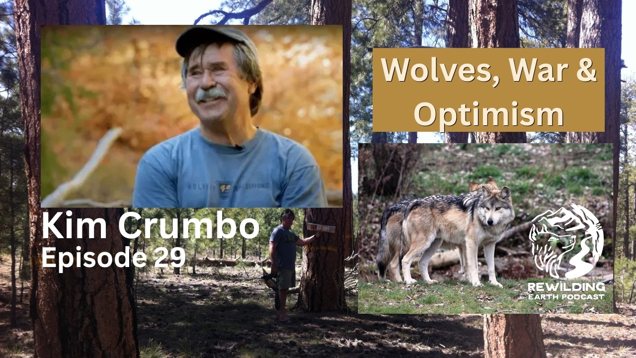 Episode 29: Kim Crumbo on Wolves, War, and Optimism