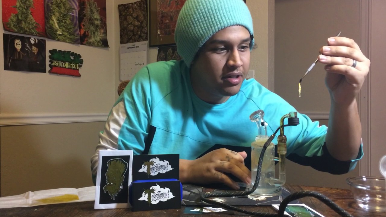 Terpenstein Gucci OG Live Action Review
