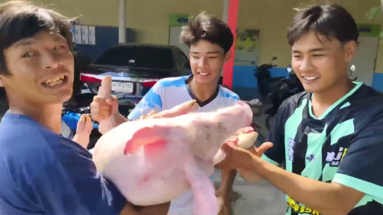 สุพรรณบุรีสีสันการแข่งจับหมูกีฬาเชื่อมความสามัคคีด้านภัยยาเสพติด