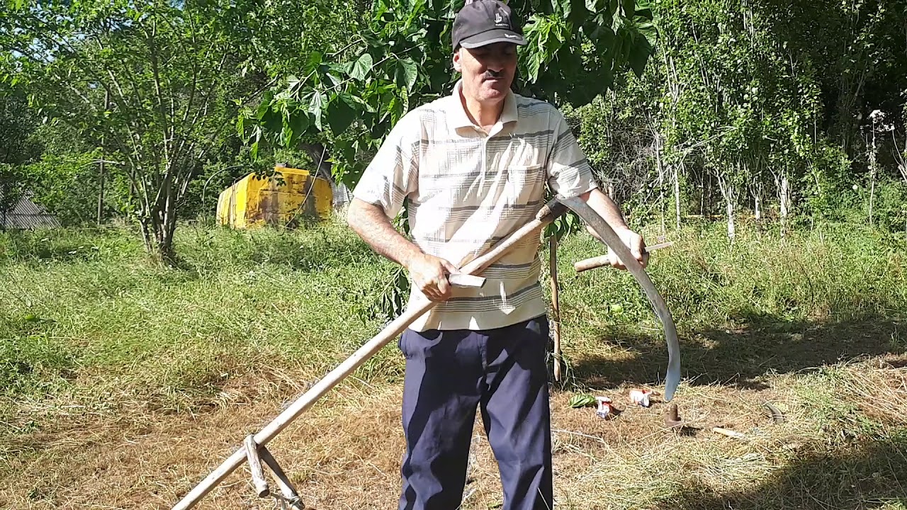 Ayhanın ot biçimində birinci dərsi