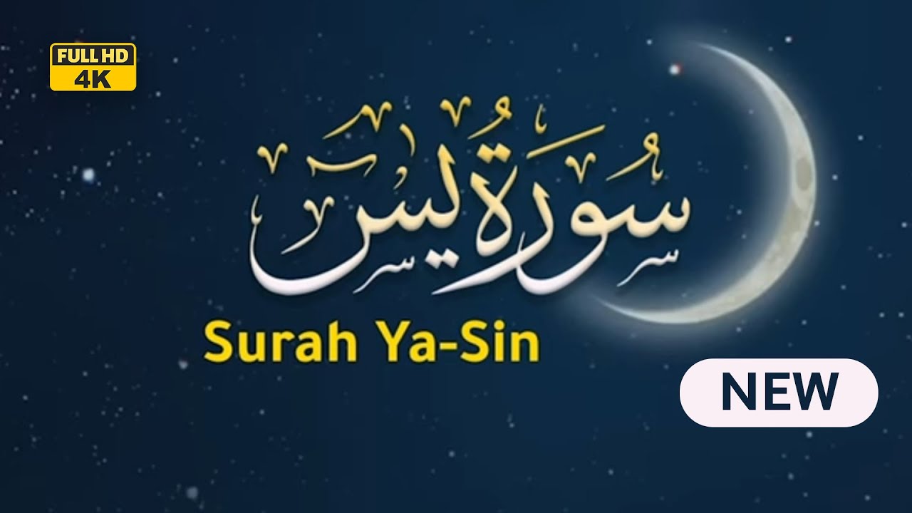 سورة يس مكررة 🕛🎧 | تلاوة هادئة | surah yasin | بصوت عبد الملك محمد 🥺❤️ | Reciter Abdulmalek Mohammed