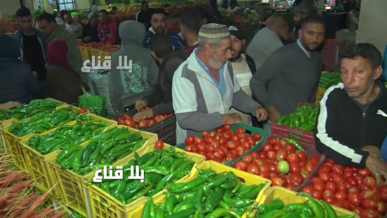 سوق جملة يزوره يوميا ثلاثون ألف زائر ويأكل منه ثلاثة مليون تونسي..سوق بئر القصعة تسمع عنه ولاتراه