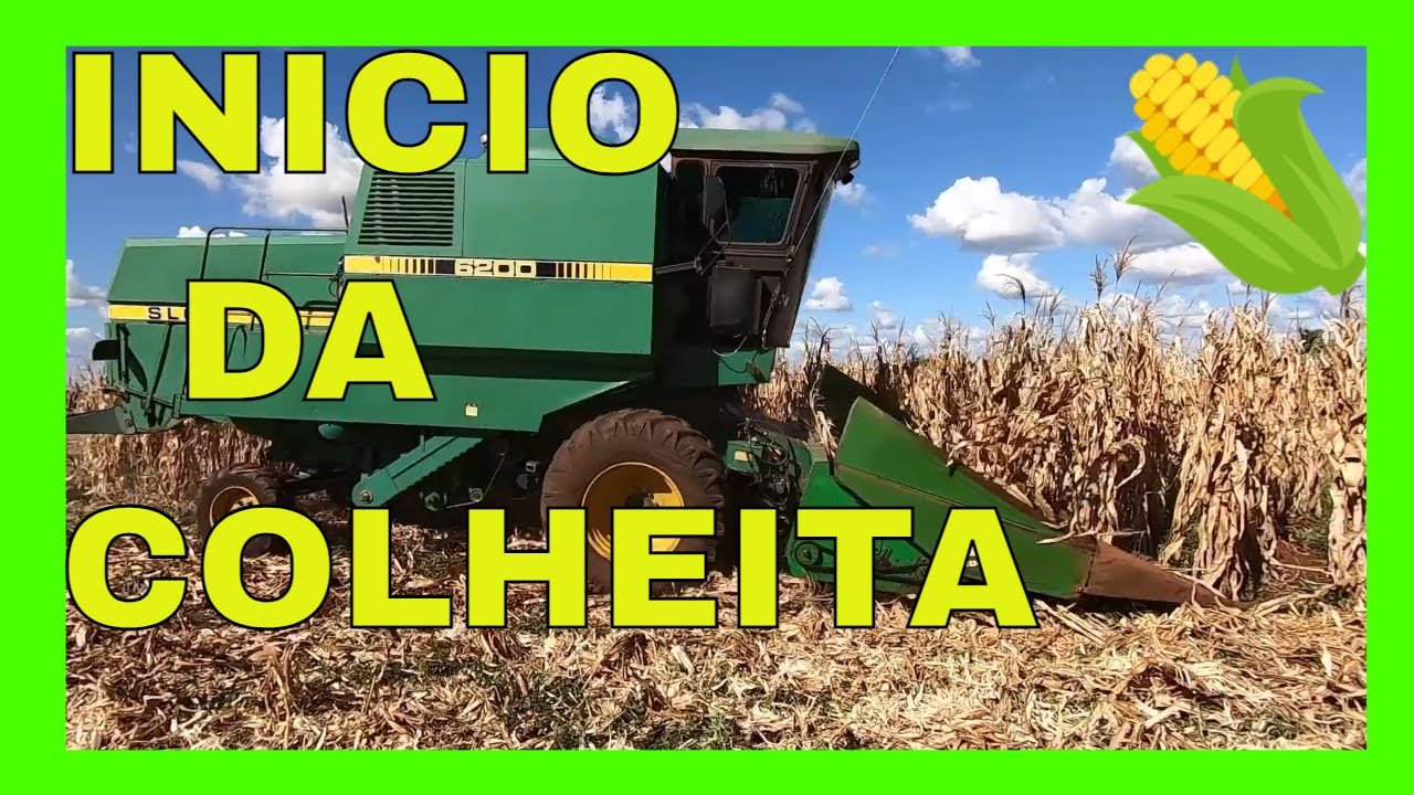 ✅ INÍCIO DA COLHEITA DO MILHO SLC6200🚜 | EP025