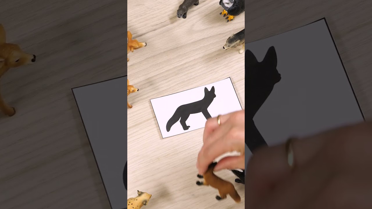 Silhouetten mit schleich® | Spielideen