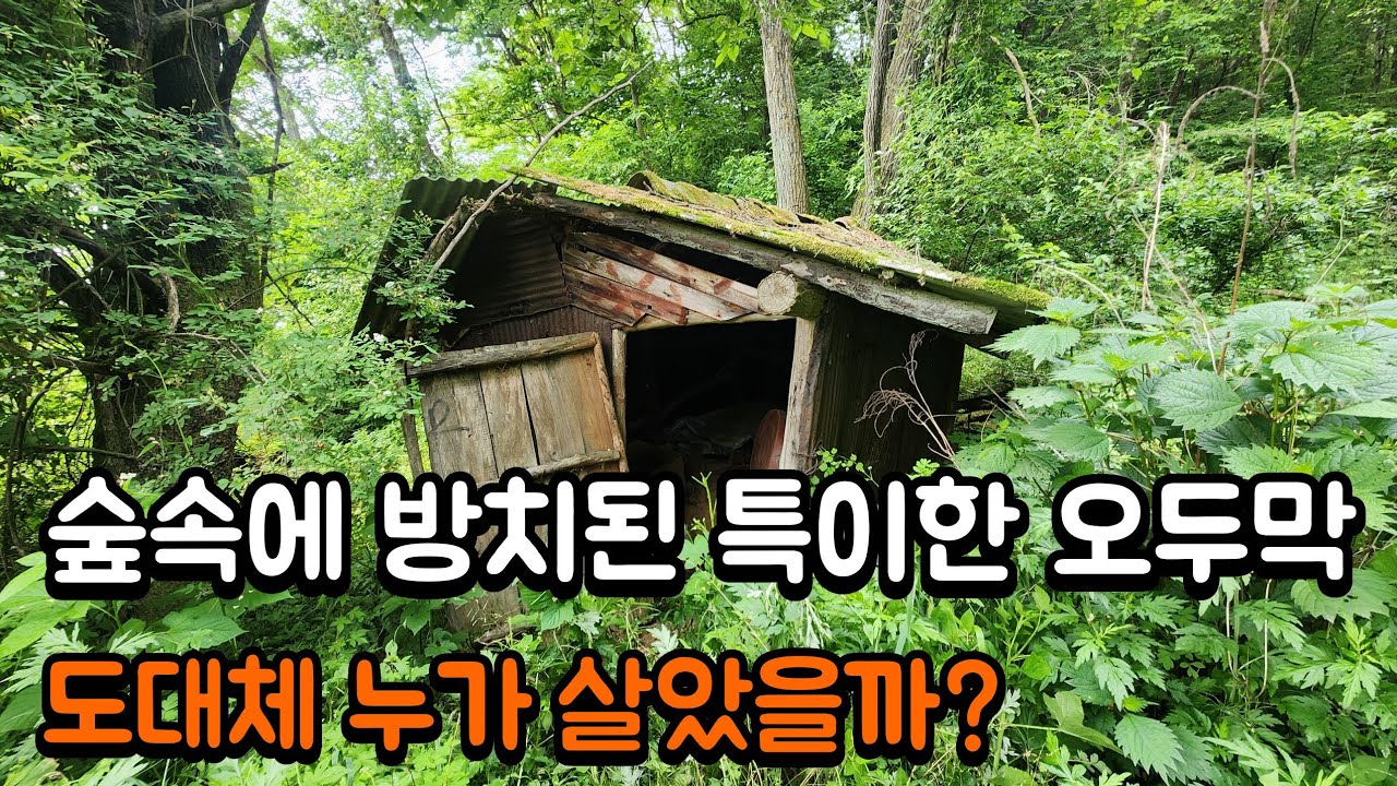깊은 숲속 오랫동안 방치된 특이한 빈집 | 누군가 살았던 흔적이?