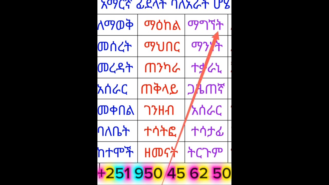 12 February 2026