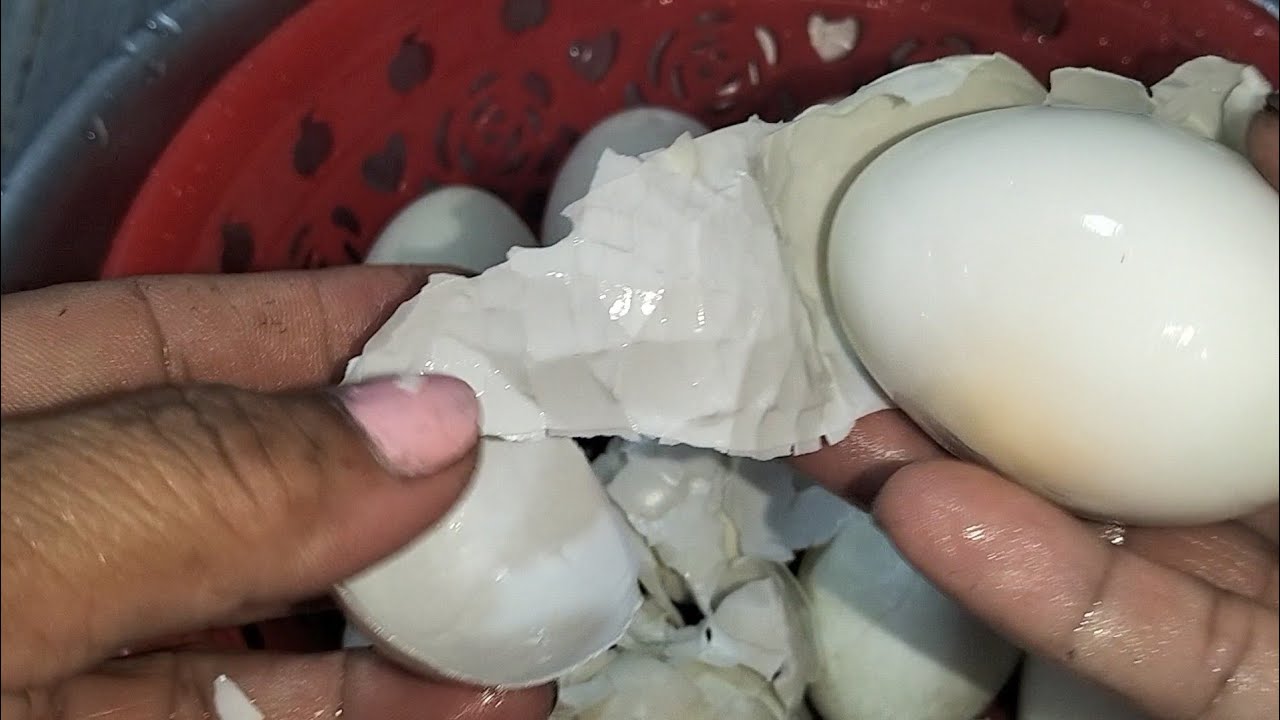 Trứng Vịt Tươi Luộc Cách Này Lột Võ Siêu Nhanh #buacomquenha 