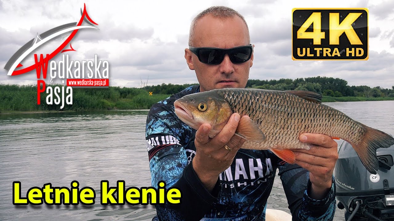 Letnie klenie odc. 152 | #wędkarstwo spinningowe nad rzeką | #sposoby łowienia | #przynęty