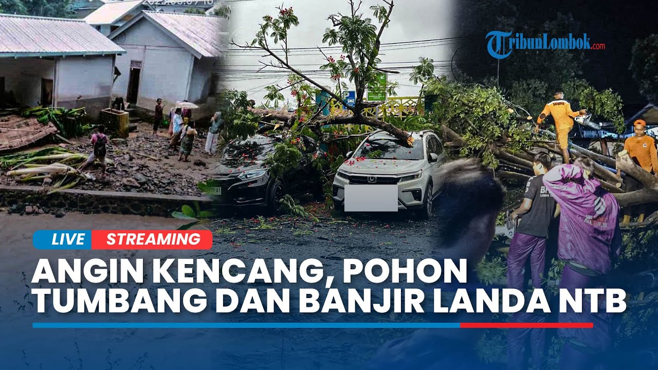 🔴 WASPADA Dampak Cuaca Ekstrem, Angin Kencang, Pohon Tumbang, Banjir Landa Sejumlah Wilayah di NTB