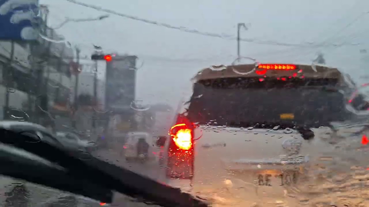 🔴Heavy Rain Atmosphere Inside the Car During the Day | Relaxing Rain Sounds