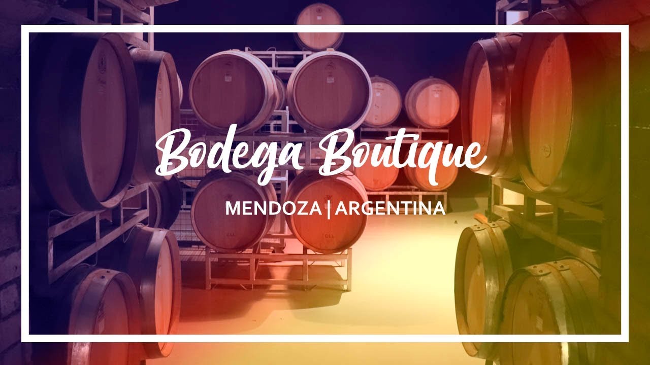 MENDOZA capital mundial del VINO 🍷🍷🍷 | Bodega Boutique | ARGENTINA 1 (ENG Subtitles)