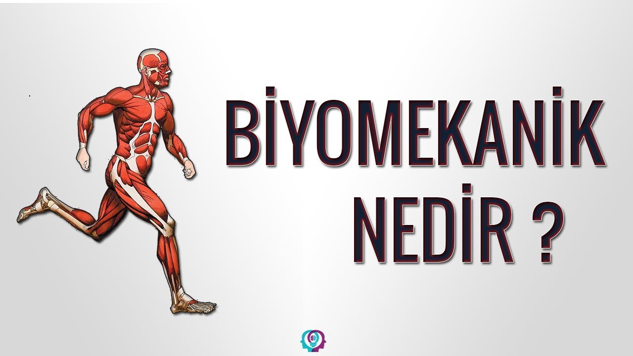 BİYOMEKANİK NEDİR?