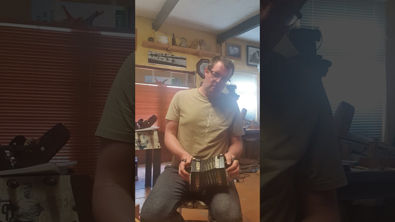 The bird in the bush reel - concertina