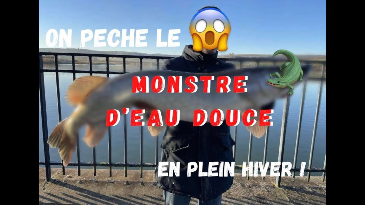 LES gros BROCHET sont de sortie ! Il EXPLOSE son record (105cm)
