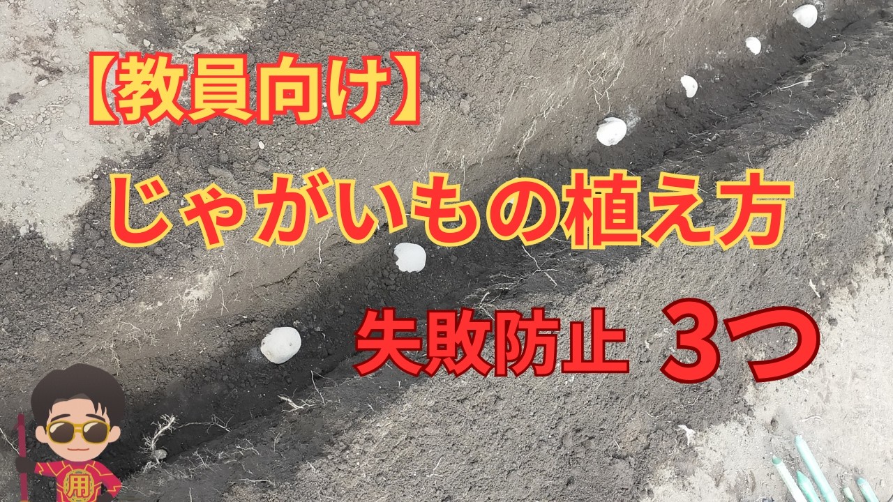 【教員向け】ジャガイモの植え付け｜失敗防止3つのポイント（6年理科準備）