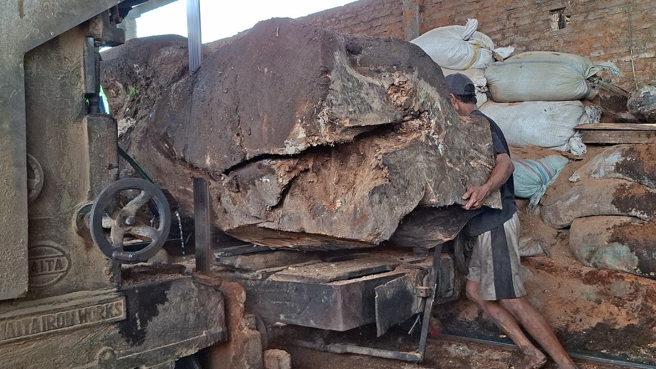 Giant Ancient Wood Splitting! The Results Are Amazing! 