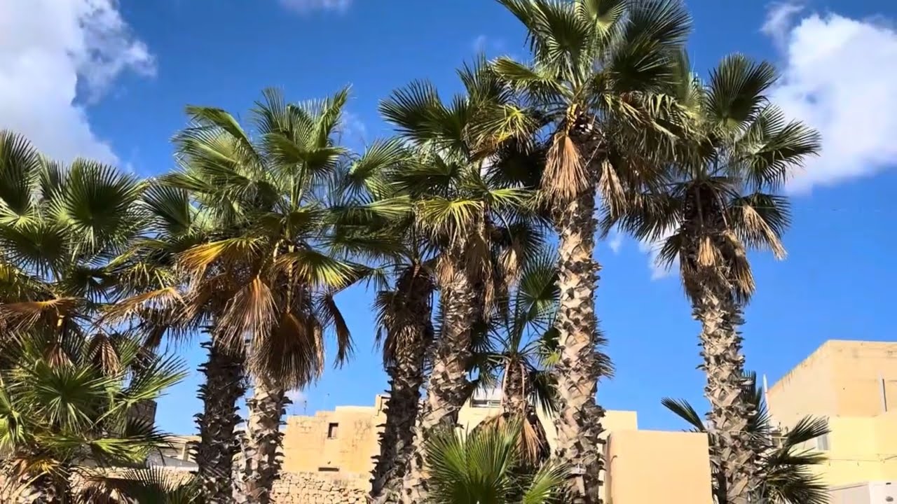 Birkirkara, Malta