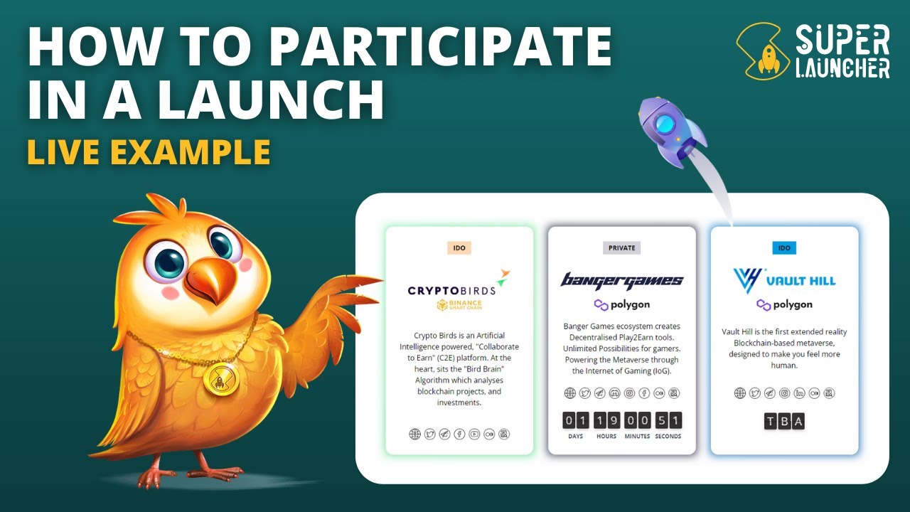 How To Participate In a Launch (Live Example)