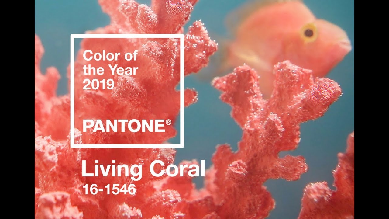 SHOP MY STASH: Pantone Color Of The Year 2019- Living Coral