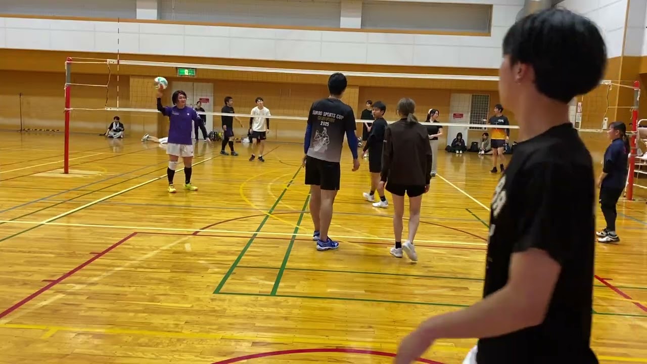 6 C vs D