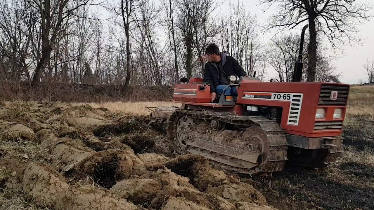 Aratura 2019|Semina avena|Fiatagri 70-65