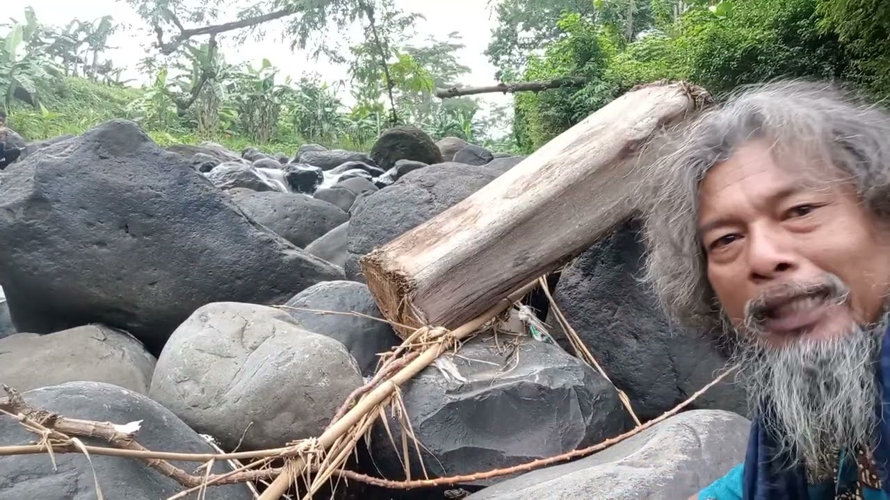 MENDAPATKAN KAYU BESAR DI SUNGAI 