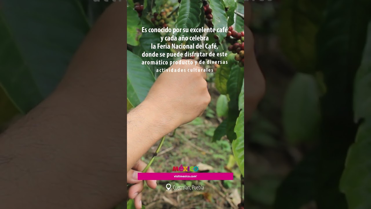 Conoce Cuetzalán, Puebla