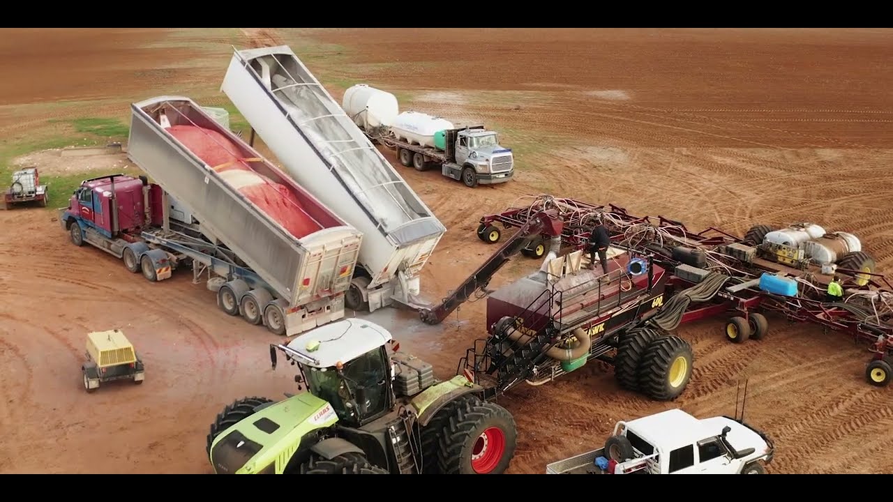 Alawoona   Seeding 2022