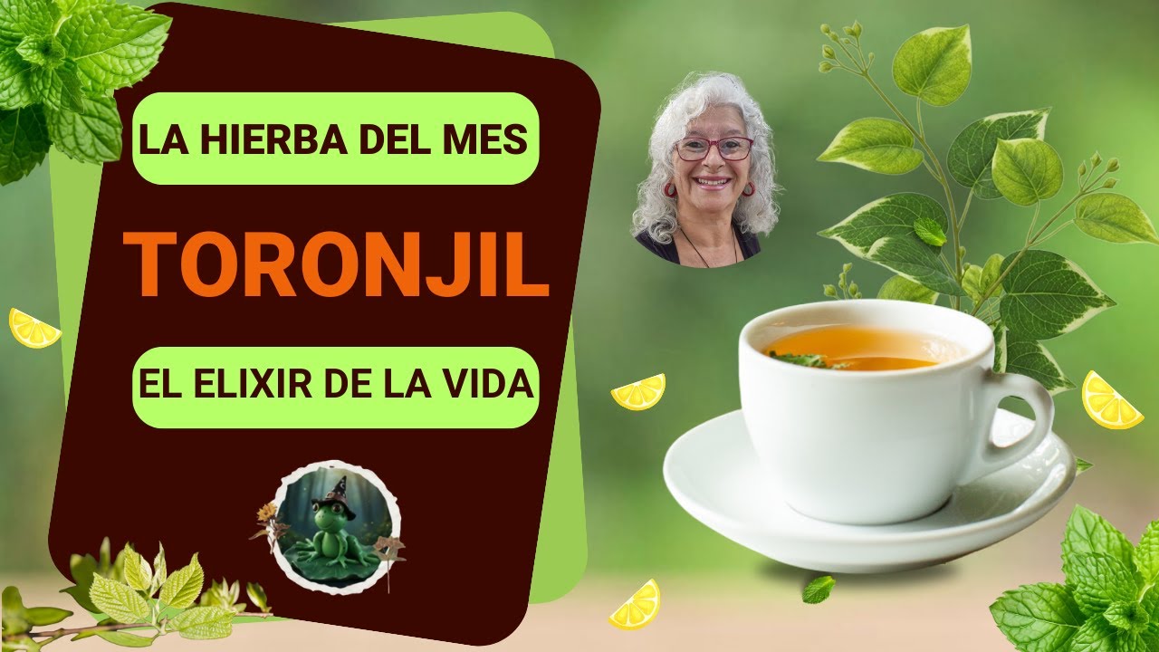 La Hierba del Mes: TORONJIL
