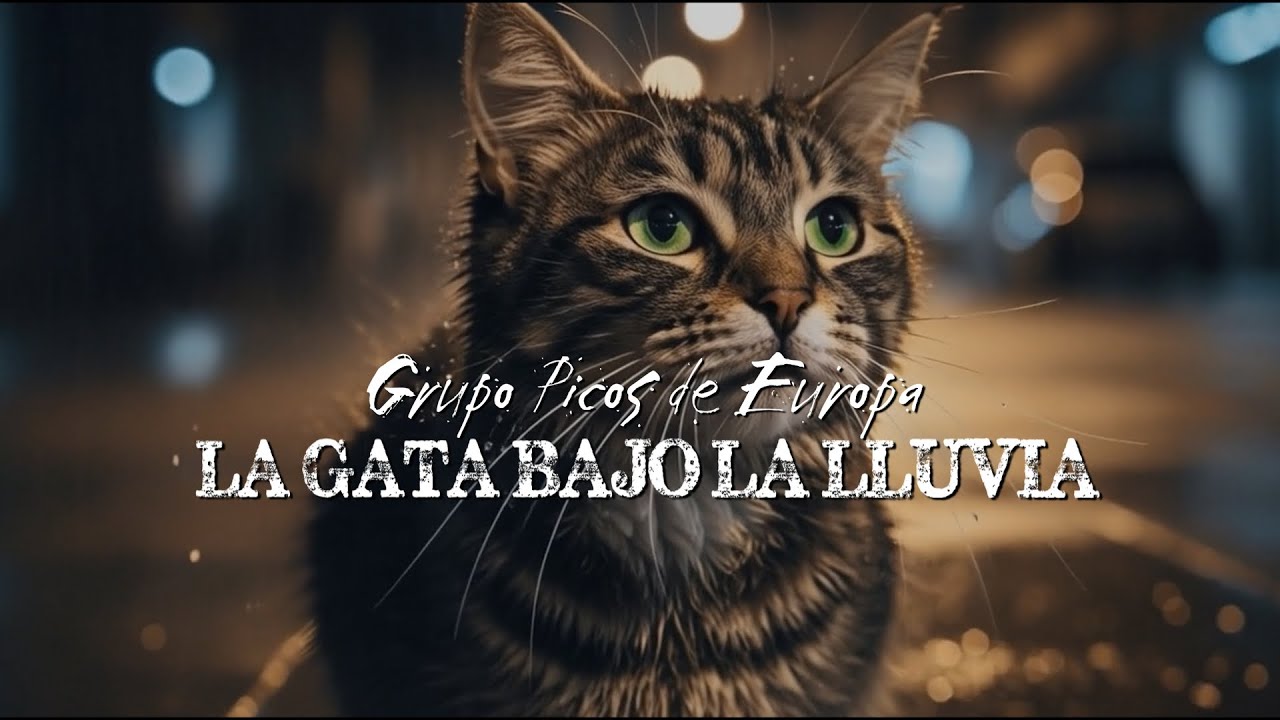 La gata bajo la lluvia - Grupo Picos de Europa
