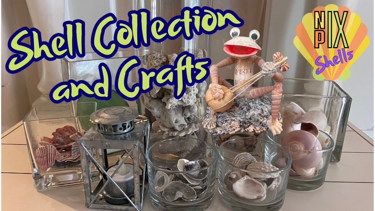 Florida's Jupiter Coast Shell Collection And Crafts
