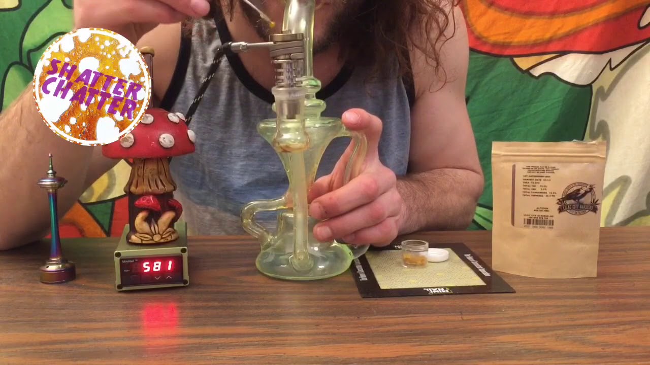 Shatter Chatter - Lilac City Gardens God's Gift