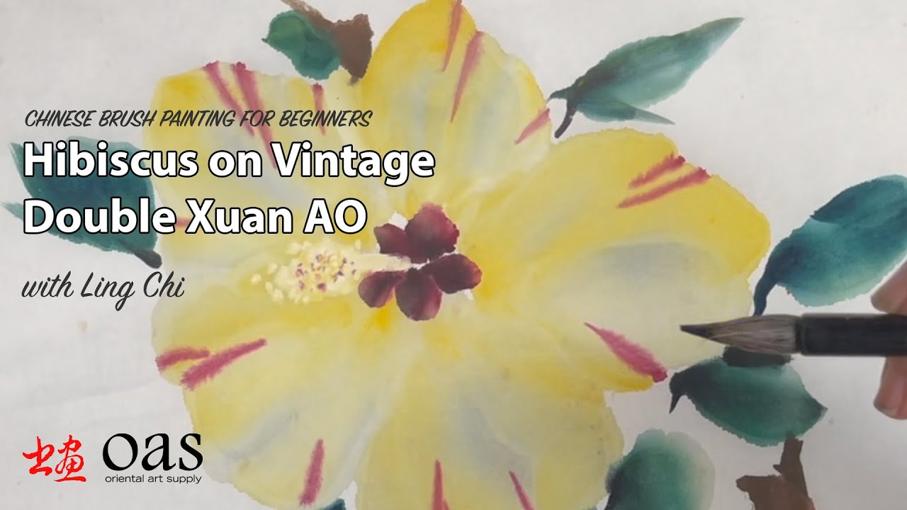 Chinese Flower Painting Lesson Hibiscus on Vintage Double Xuan AO